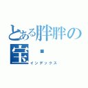 とある胖胖の宝贝（インデックス）