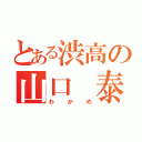 とある渋高の山口 泰由紀（わかめ）