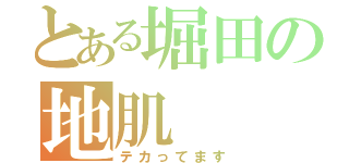 とある堀田の地肌（テカってます）