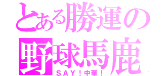 とある勝運の野球馬鹿（ＳＡＹ！中華！）