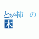 とある柿の木（）