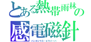 とある熱帯雨林の感電磁針鯰（パンガシウス・ピライーバ ）