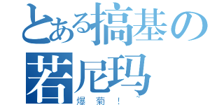 とある搞基の若尼玛（爆菊！~）