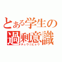 とある学生の過剰意識（チュウニビョウ）