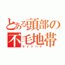 とある頭部の不毛地帯（サイドハゲ）