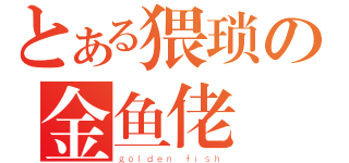 とある猥琐の金鱼佬（ｇｏｌｄｅｎ ｆｉｓｈ）