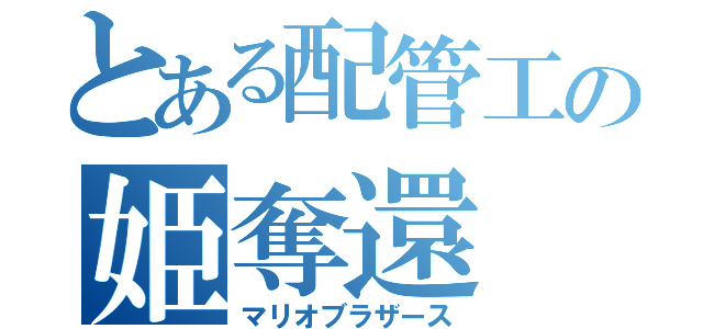 とある配管工の姫奪還（マリオブラザース）