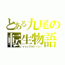 とある九尾の転生物語（トリップストーリー）