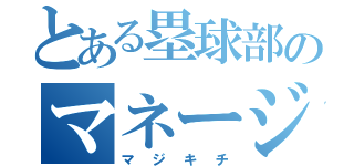 とある塁球部のマネージャー（マジキチ）