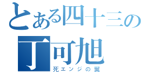 とある四十三の丁可旭（死エンジの翼）