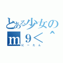 とある少女のｍ９＜＾Д＾＞ニギャー（にーたん）