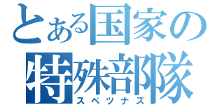 とある国家の特殊部隊（スペツナズ）