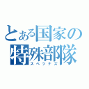 とある国家の特殊部隊（スペツナズ）