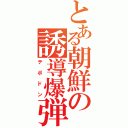 とある朝鮮の誘導爆弾（テポドン）