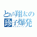 とある翔太の珍子爆発（ペニスバーン）