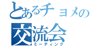 とあるチョメの交流会（ミーティング）