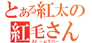 とある紅太の紅毛さん（ストームラバー）