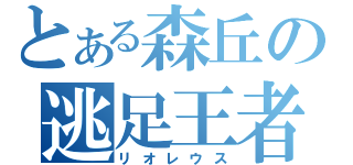 とある森丘の逃足王者（リオレウス）