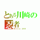 とある川崎の忍者（Ｎｉｎｊａ　２５０）