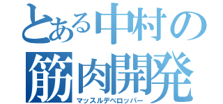 とある中村の筋肉開発（マッスルデベロッパー）