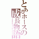 とあるホースの成長物語（メタモルフォーゼ）