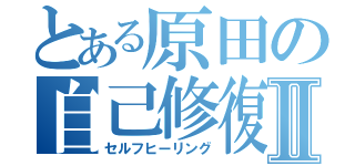 とある原田の自己修復Ⅱ（セルフヒーリング）