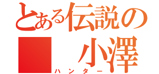 とある伝説の  小澤（ハンター）