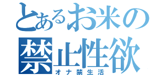 とあるお米の禁止性欲（オナ禁生活）