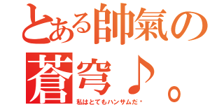 とある帥氣の蒼穹♪。（私はとてもハンサムだ〜）