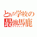 とある学校の最強馬鹿（ヤマザキミサ）