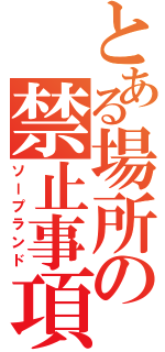 とある場所の禁止事項（ソープランド）