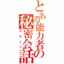 とある能力者の秘密会話（スカイプ）