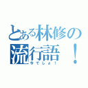 とある林修の流行語！（今でしょ！）