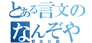 とある言文のなんぞや（野生の勘）