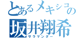 とあるメキシコの坂井翔希（サラマンダー）