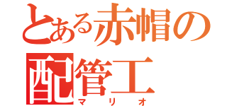 とある赤帽の配管工（マリオ）