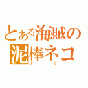 とある海賊の泥棒ネコ（ナミ）