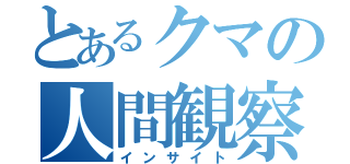 とあるクマの人間観察（インサイト）