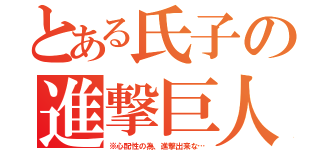 とある氏子の進撃巨人（※心配性の為、進撃出来な…）