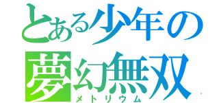 とある少年の夢幻無双（メトリウム）