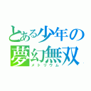 とある少年の夢幻無双（メトリウム）