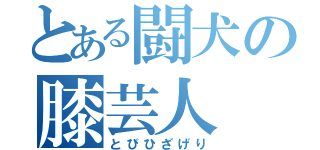 とある闘犬の膝芸人（とびひざげり）