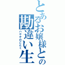 とあるお嬢様との勘違い生活（ハヤテのごとく）