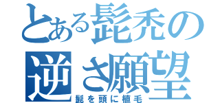 とある髭禿の逆さ願望（髭を頭に植毛）