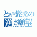 とある髭禿の逆さ願望（髭を頭に植毛）