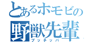 とあるホモビの野獣先輩（ブッチッパ）