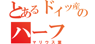 とあるドイツ産まれのハーフ（マリウス葉）