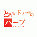 とあるドイツ産まれのハーフ（マリウス葉）