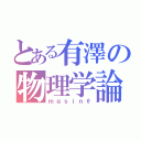 とある有澤の物理学論（ｍｇｓｉｎθ）