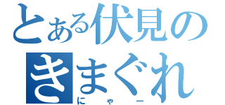 とある伏見のきまぐれ（にゃー）